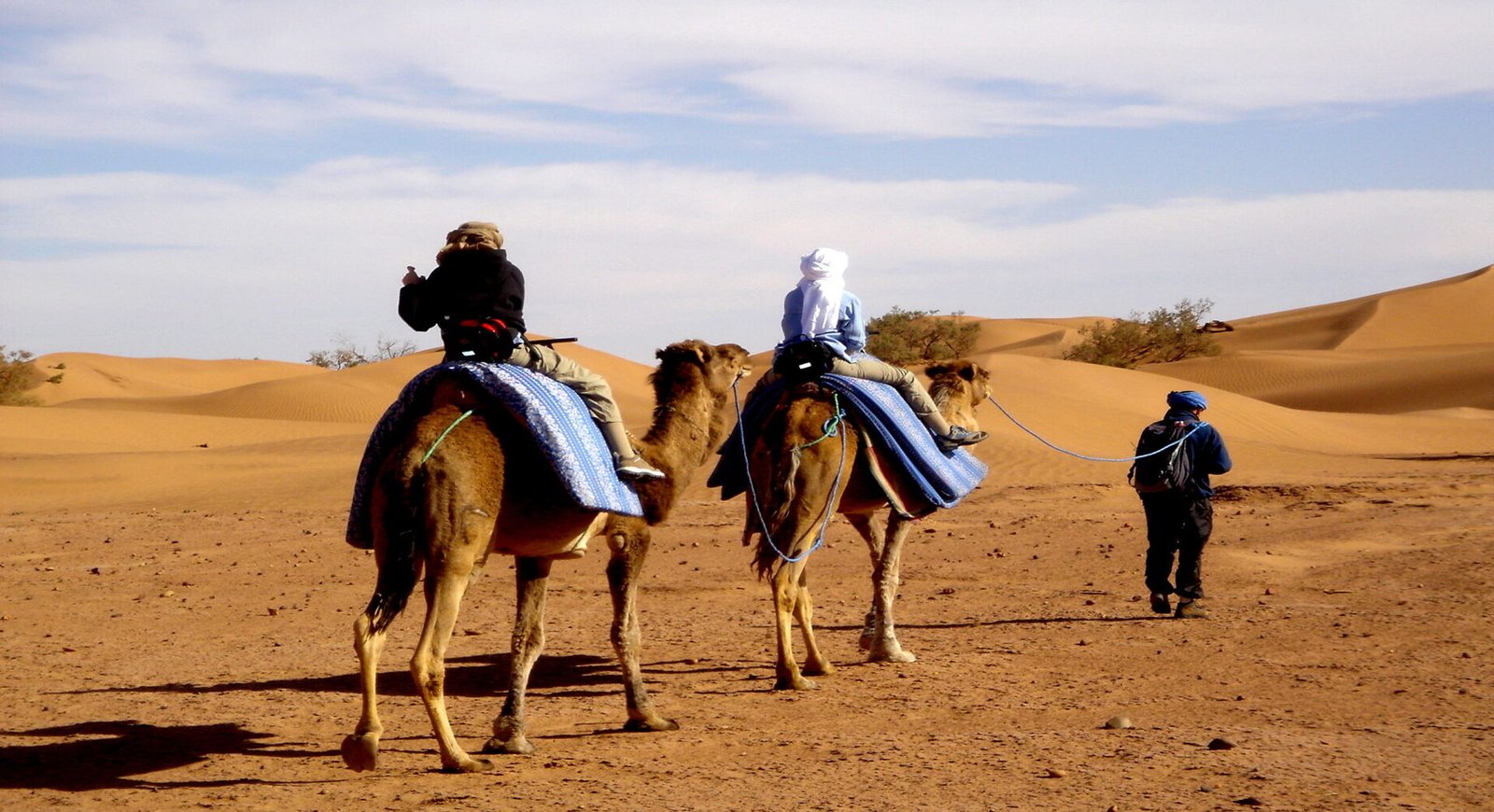 OASIS DE SABLE