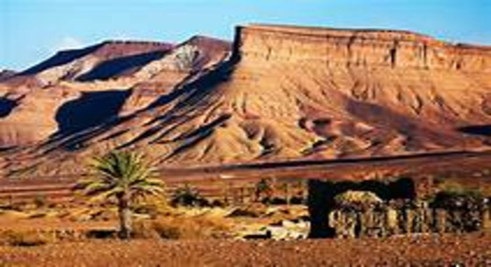 OASIS DE SABLE