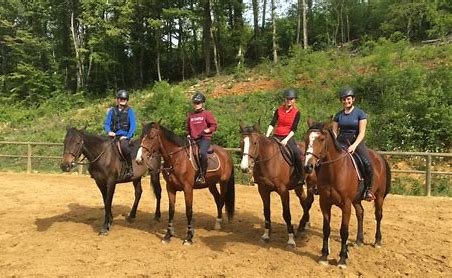 Sports for all levels and interests.